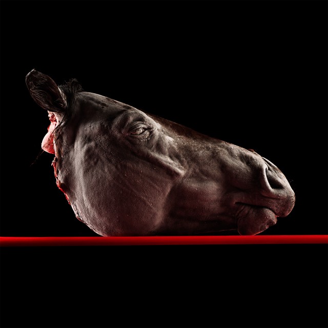 01 Cavallo